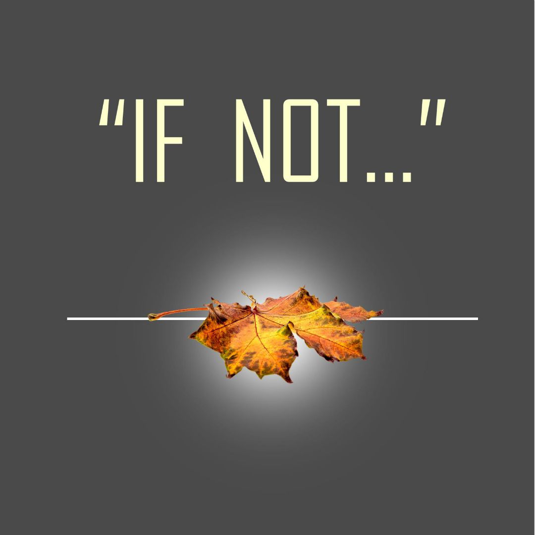 “If Not…”