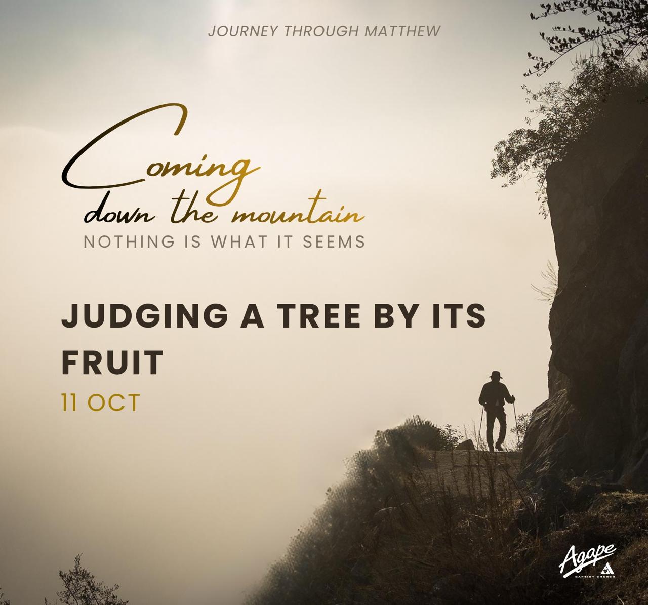 Judging A Tree By Its Fruit