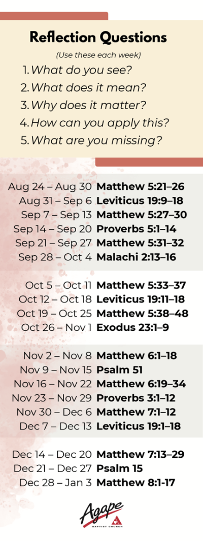 Bible Reading 2026 Page 2
